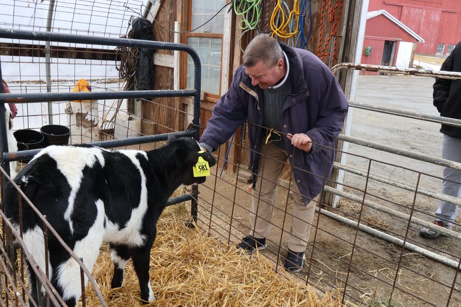 Senator Kissel visiting a calf at a local dairy farm